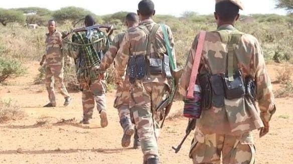 सोमालियामा सेनाको कारबाहीमा परी ४० आतङ्ककारी मारिए