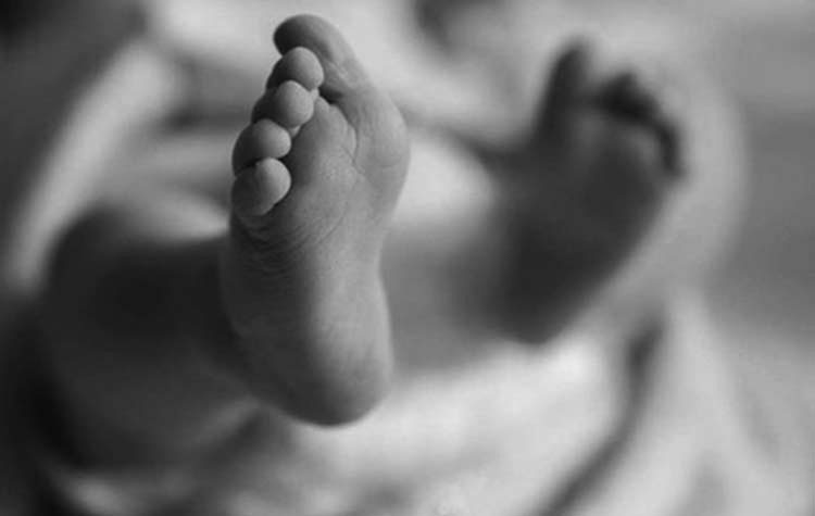 गुलरियामा ट्र्याक्टरले किच्दा ५ वर्षका बालकको मृत्यु
